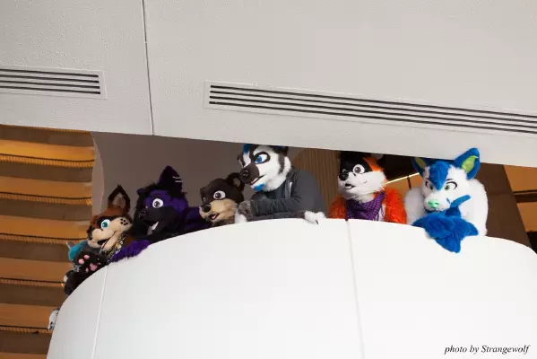 IMG_2872-lr16t.jpg of FWA/FWA2017/