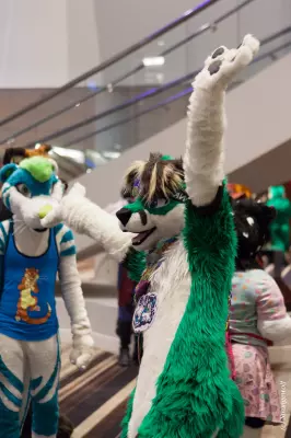 IMG_1647-lr19t.jpg of FWA/FWA2019/
