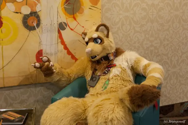 IMG_3208-lr19t.jpg of BLFC/2019/