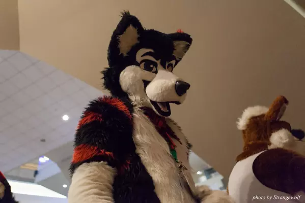 IMG_7464-lr16t.jpg of FWA/FWA2015/