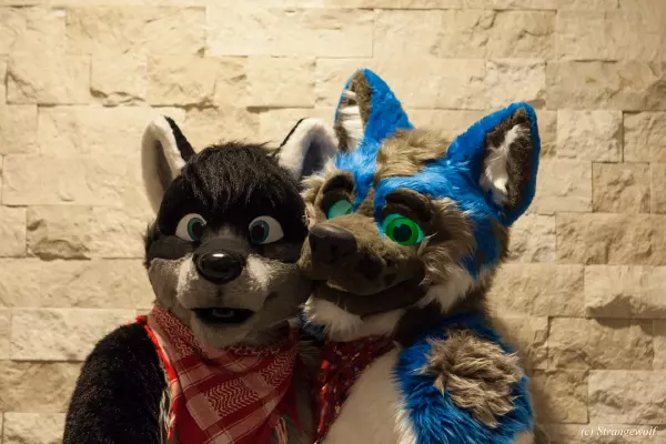 IMG_1691-lr19t.jpg of FWA/FWA2019/