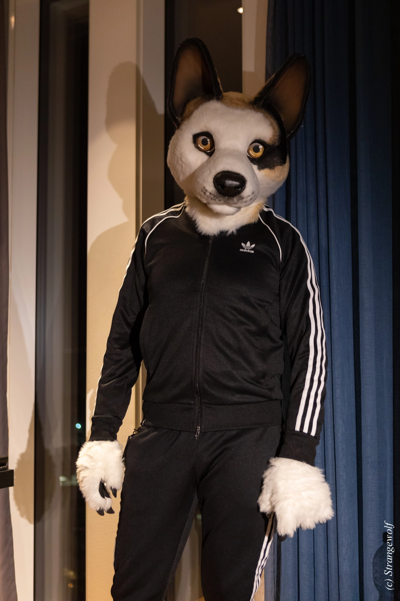 full image 1R3A9296-lr19t.jpg