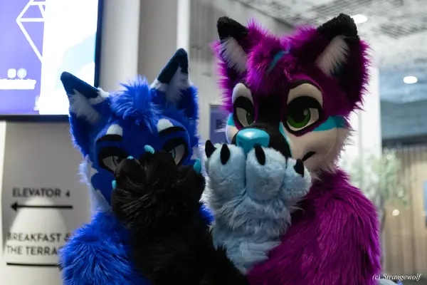 1R3A0048-lr19t.jpg of NFC/NFC2023/