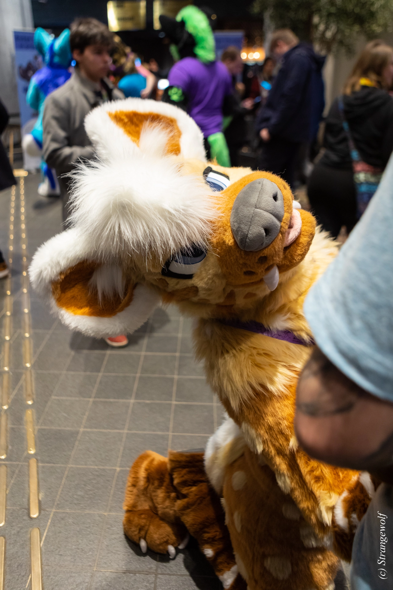 full image 1R3A9890-lr19t.jpg