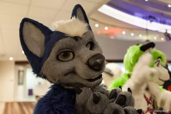 IMG_1677-lr19t.jpg of FWA/FWA2019/