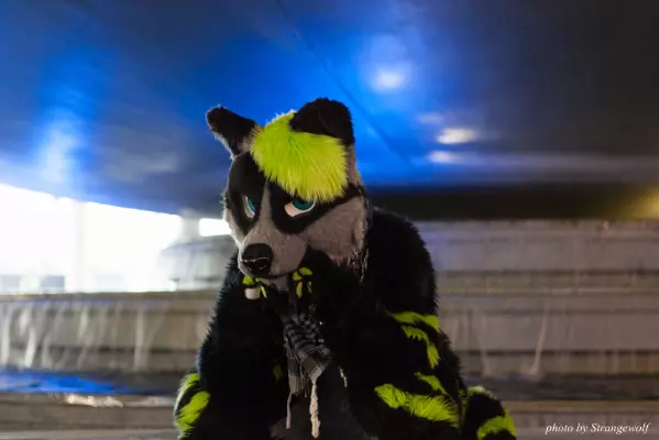 IMG_7690-lr16t.jpg of FWA/FWA2015/