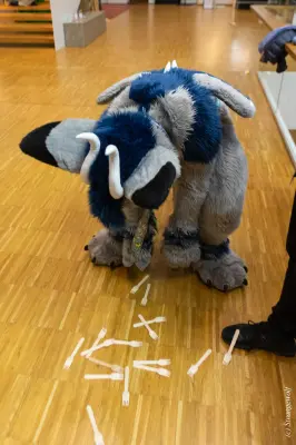 1R3A9398-lr19t.jpg of NFC/NFC2023/