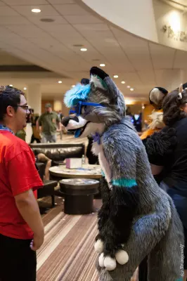IMG_2019-lr.jpg of FWA/FWA2019/