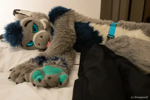 1R3A9463-lr19t.jpg of NFC/NFC2023/