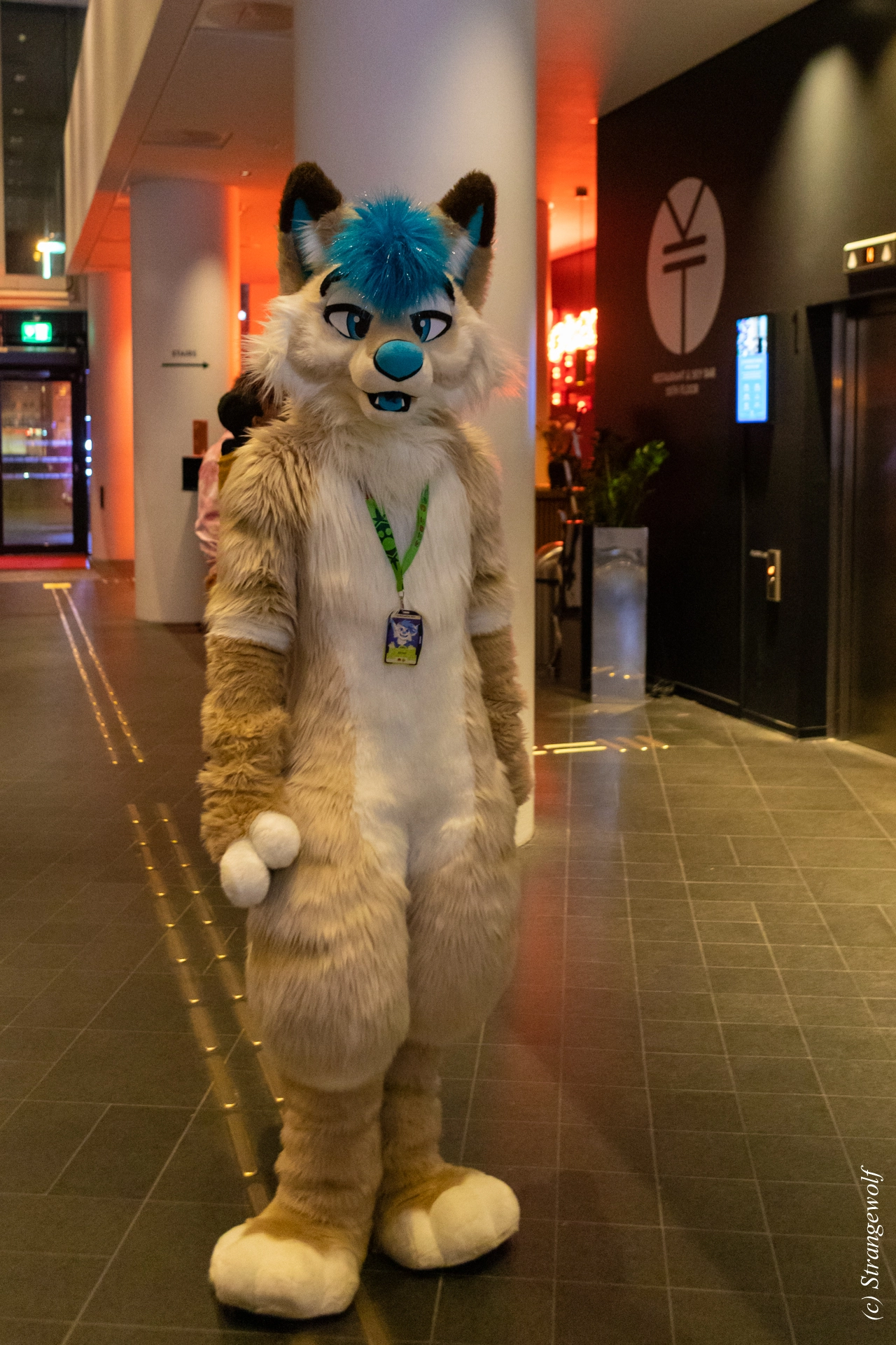 full image 1R3A9284-lr19t.jpg