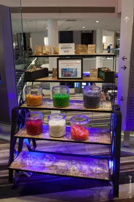 IMG_1512-lr19t.jpg of FWA/FWA2019/