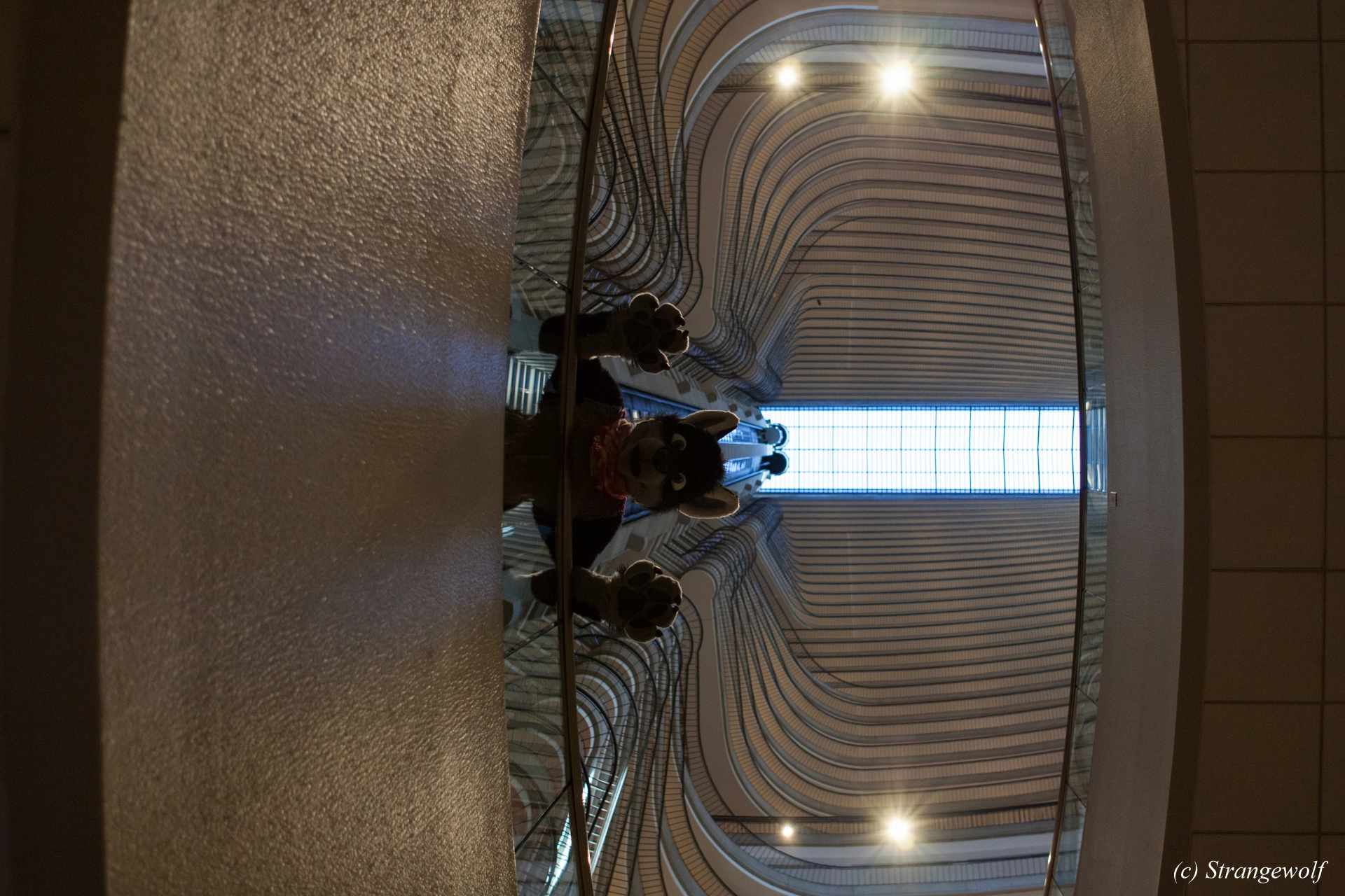 full image IMG_1781-lr19t.jpg