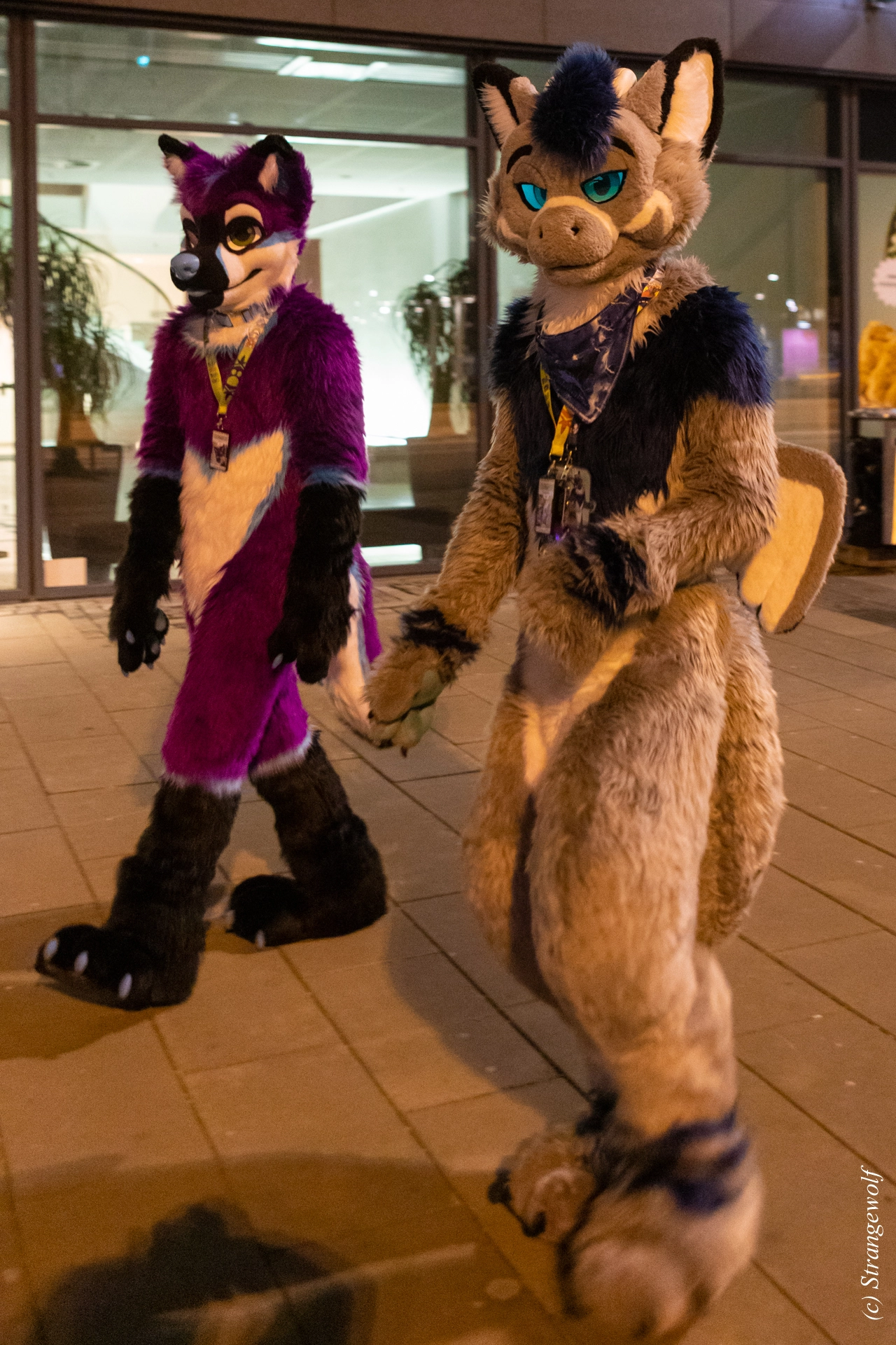 full image 1R3A9252-lr19t.jpg