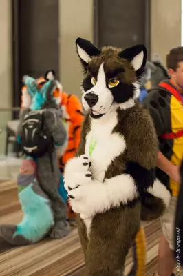 IMG_3052-lr16t.jpg of FWA/FWA2017/