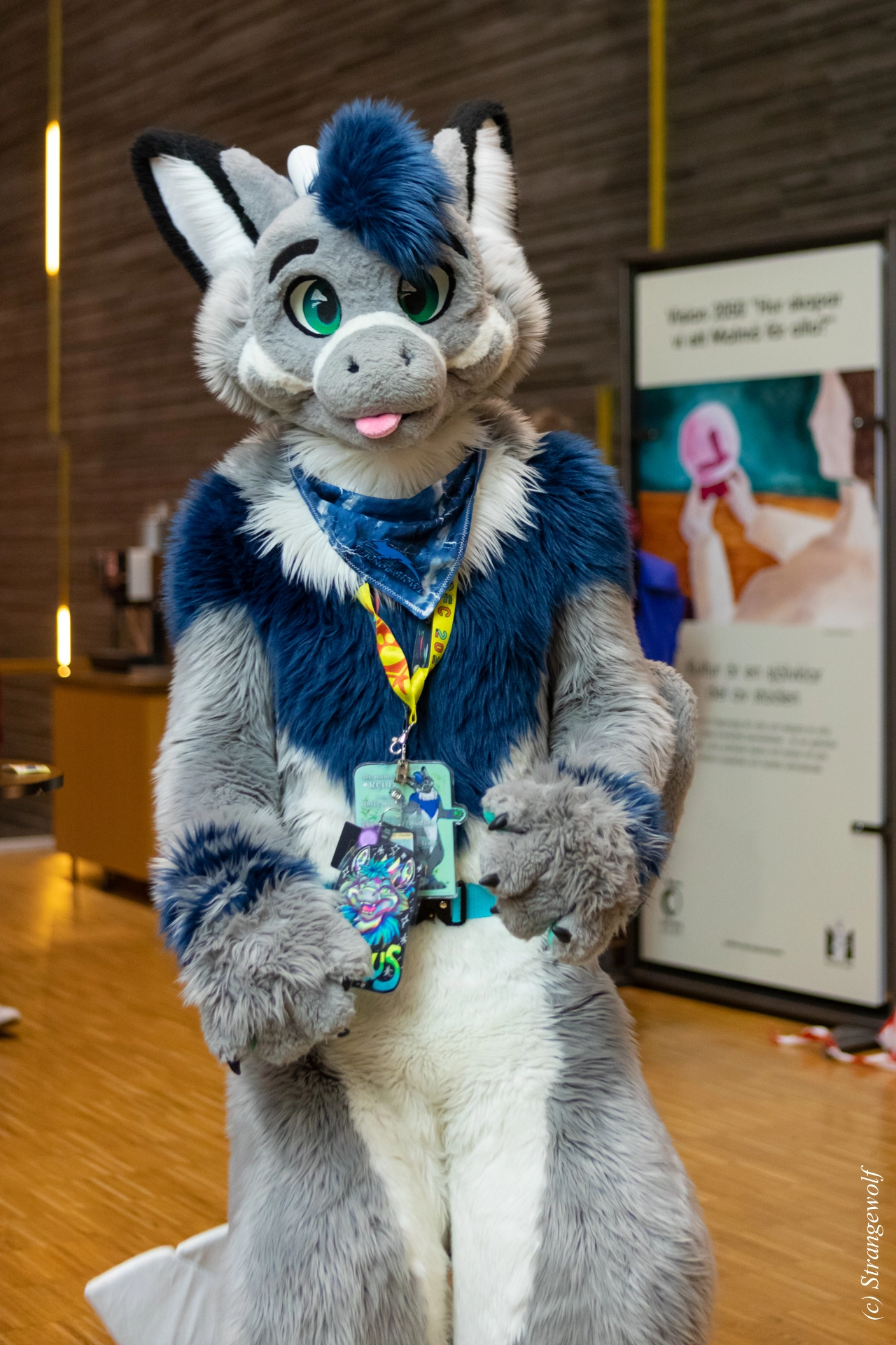 full image 1R3A9392-lr19t.jpg