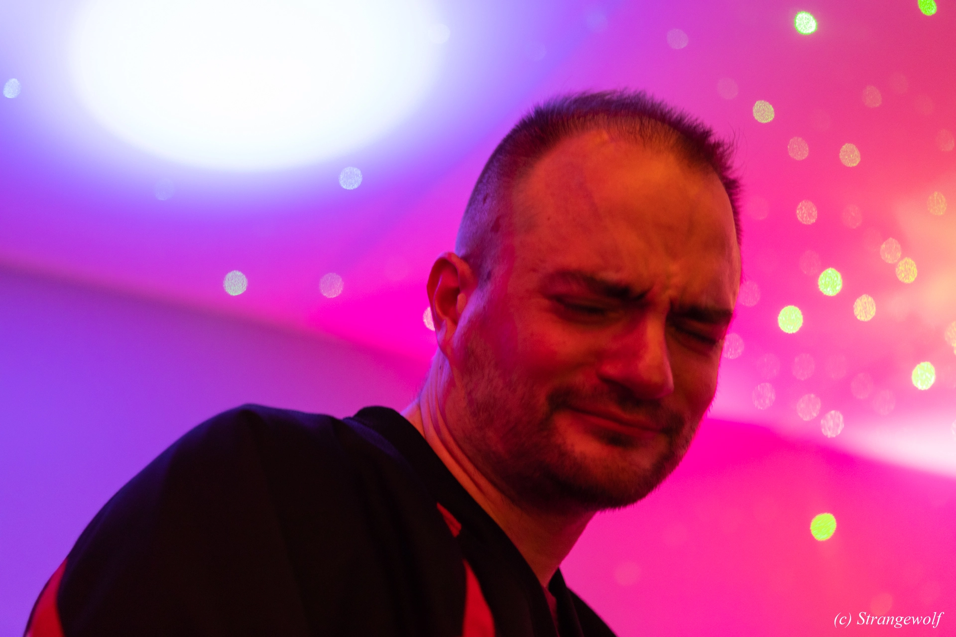 full image 1R3A8950-lr19t.jpg