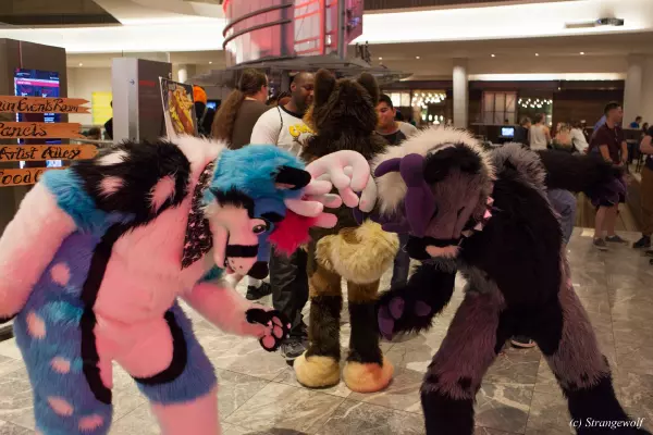 IMG_2459-lr19t.jpg of FWA/FWA2019/
