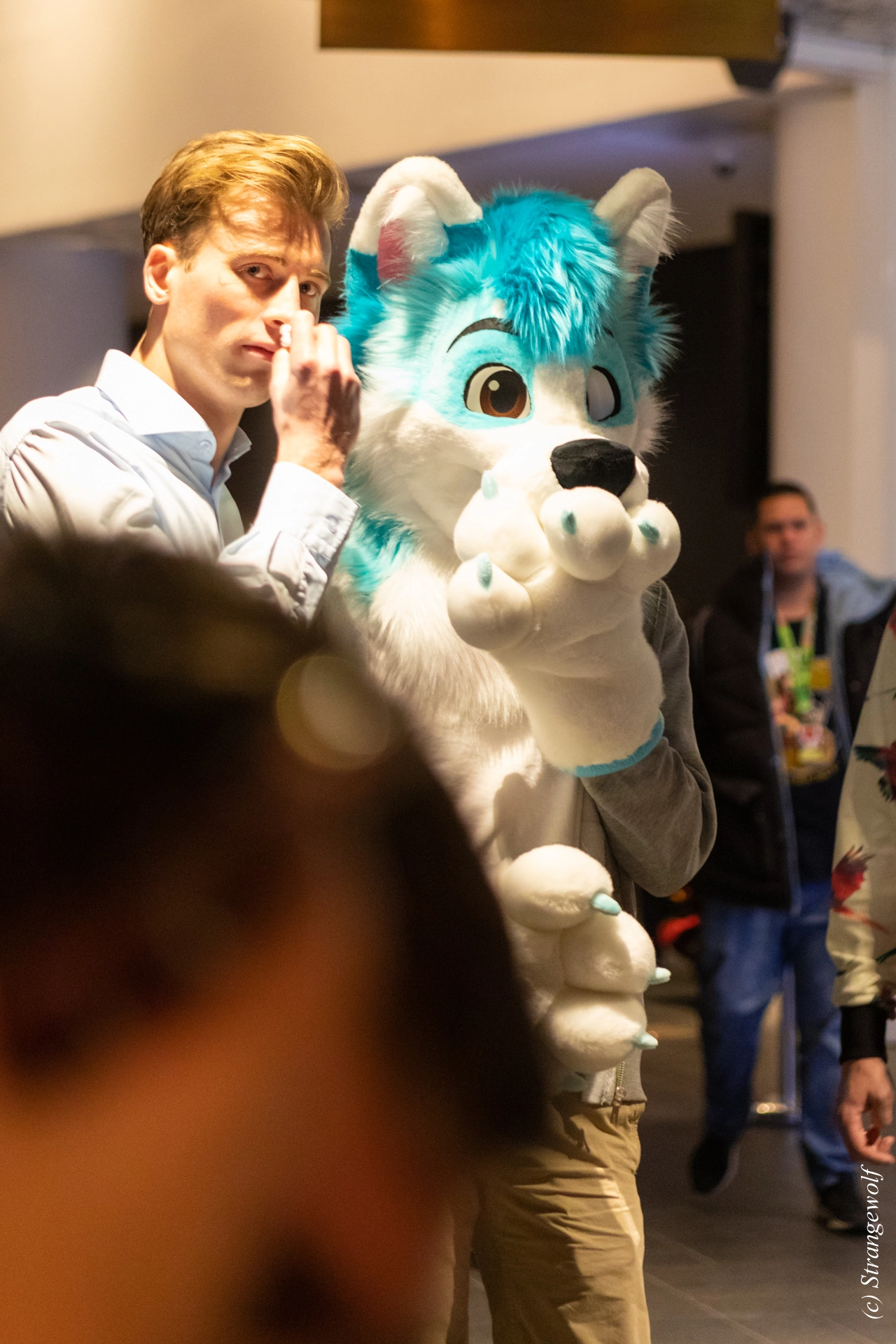 full image 1R3A9101-lr19t.jpg