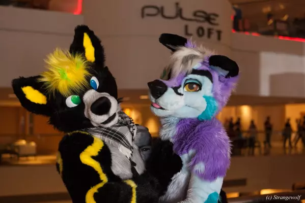 IMG_2249-lr.jpg of FWA/FWA2019/