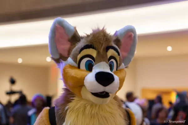 IMG_1984-lr19t.jpg of FWA/FWA2019/