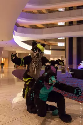 IMG_7611-lr16t.jpg of FWA/FWA2015/