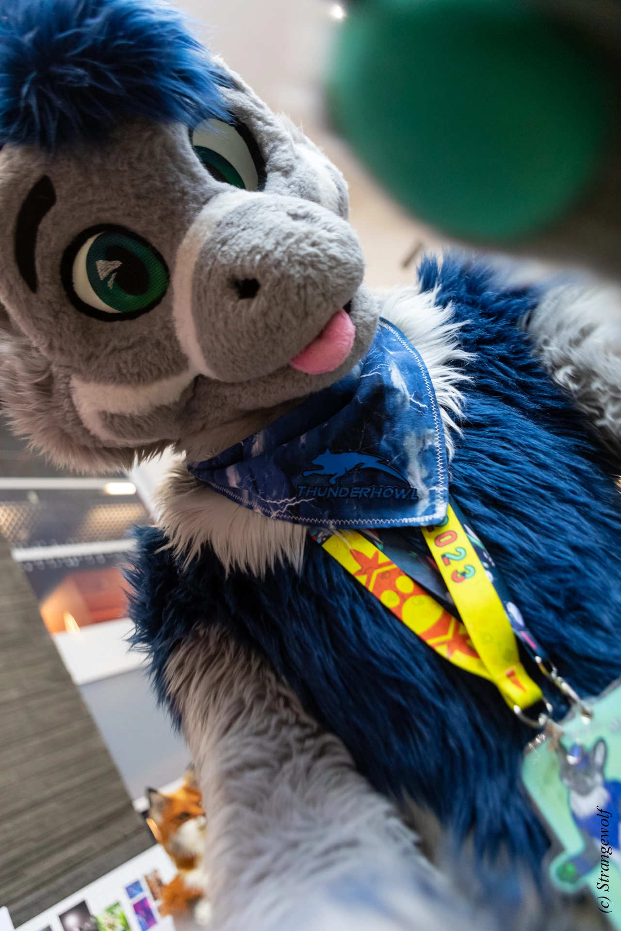 full image 1R3A9427-lr19t.jpg