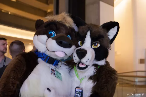 IMG_1591-lr19t.jpg of FWA/FWA2019/