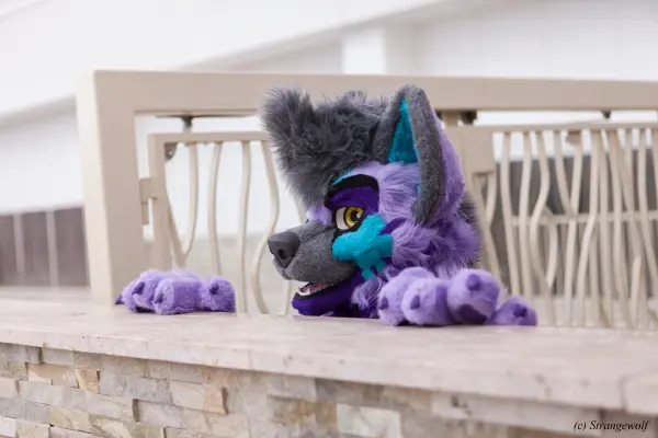 IMG_2854-lr19t.jpg of BLFC/2019/
