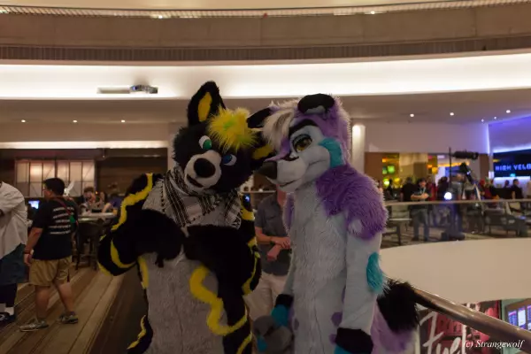 IMG_2258-lr19t.jpg of FWA/FWA2019/