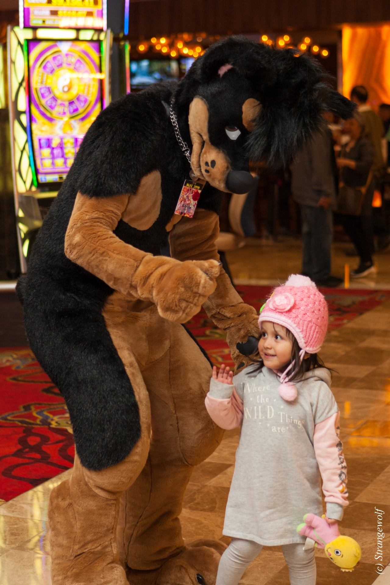 full image IMG_3747-lr19t.jpg