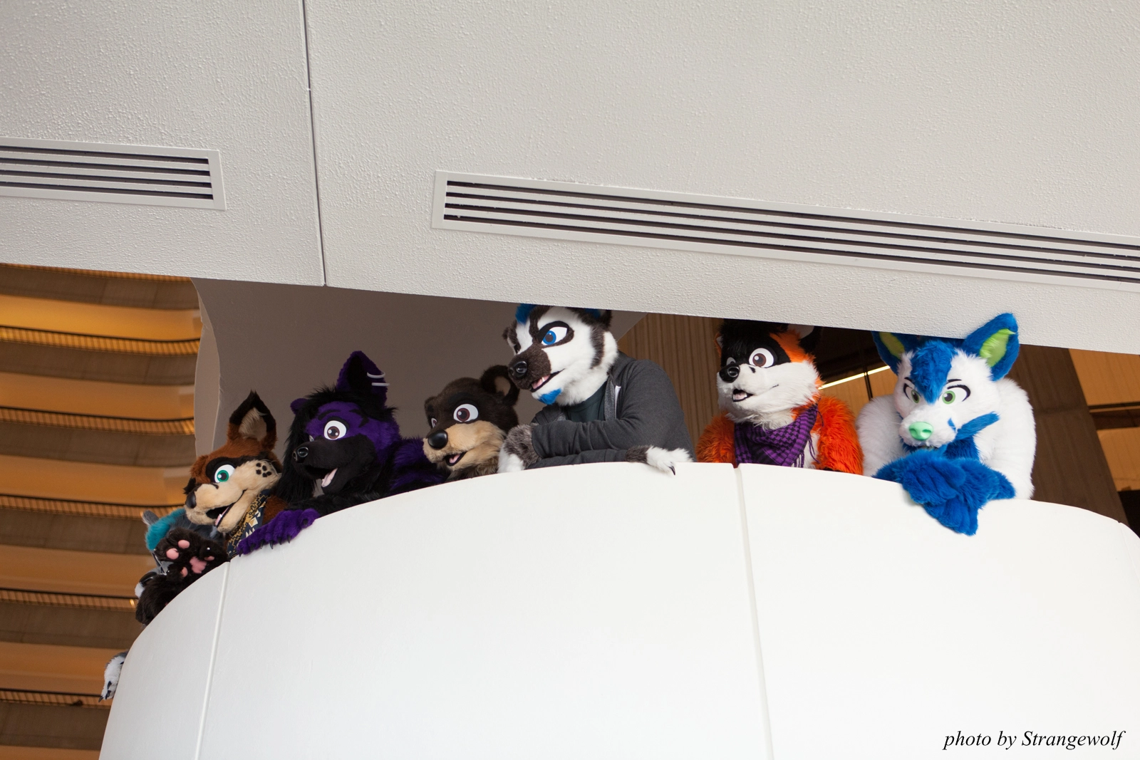 full image IMG_2872-lr16t.jpg