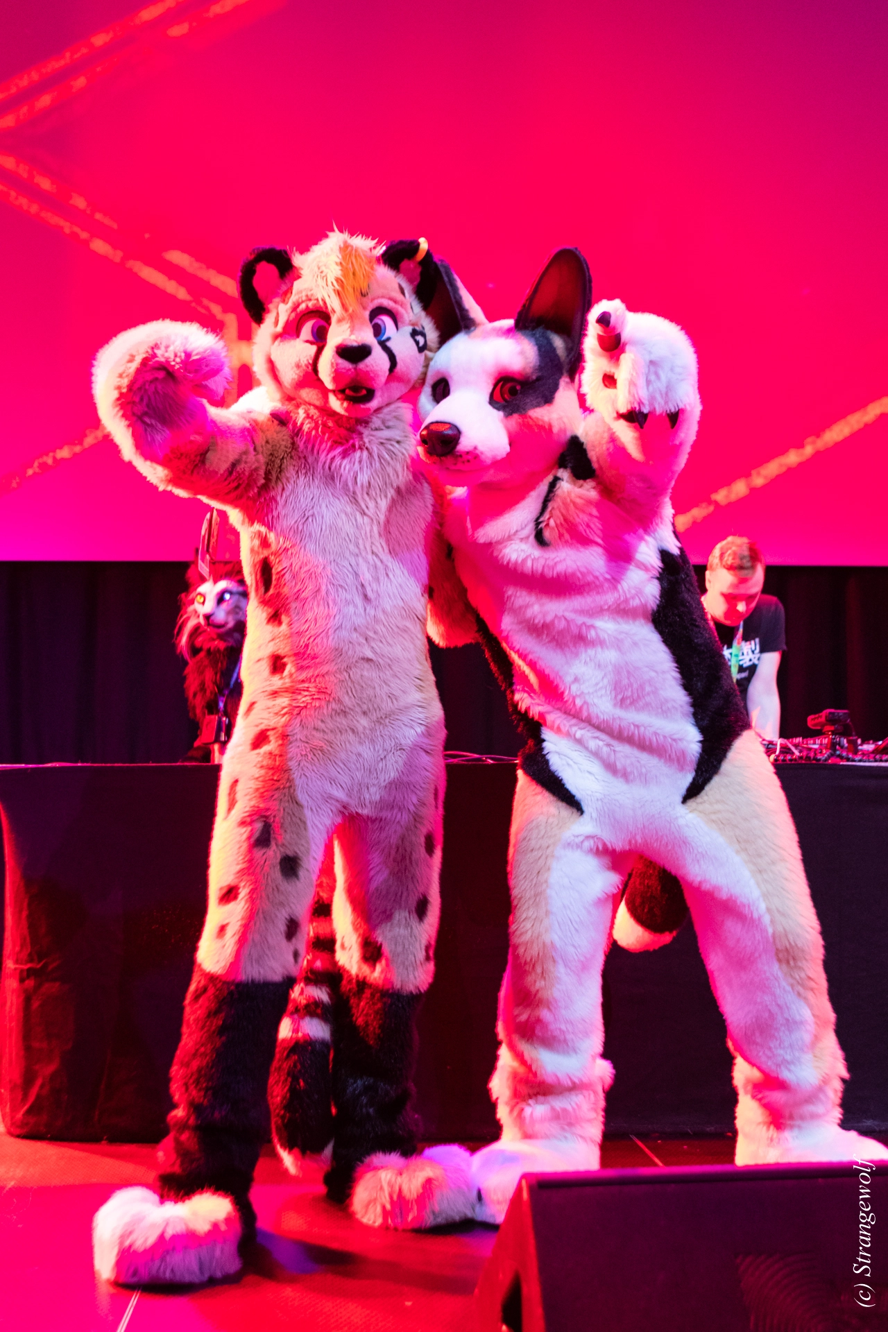 full image 1R3A9793-lr19t.jpg