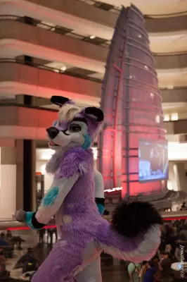 IMG_2141-lr19t.jpg of FWA/FWA2019/