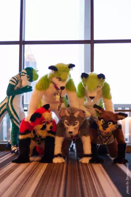 IMG_2940-lr16t.jpg of FWA/FWA2017/