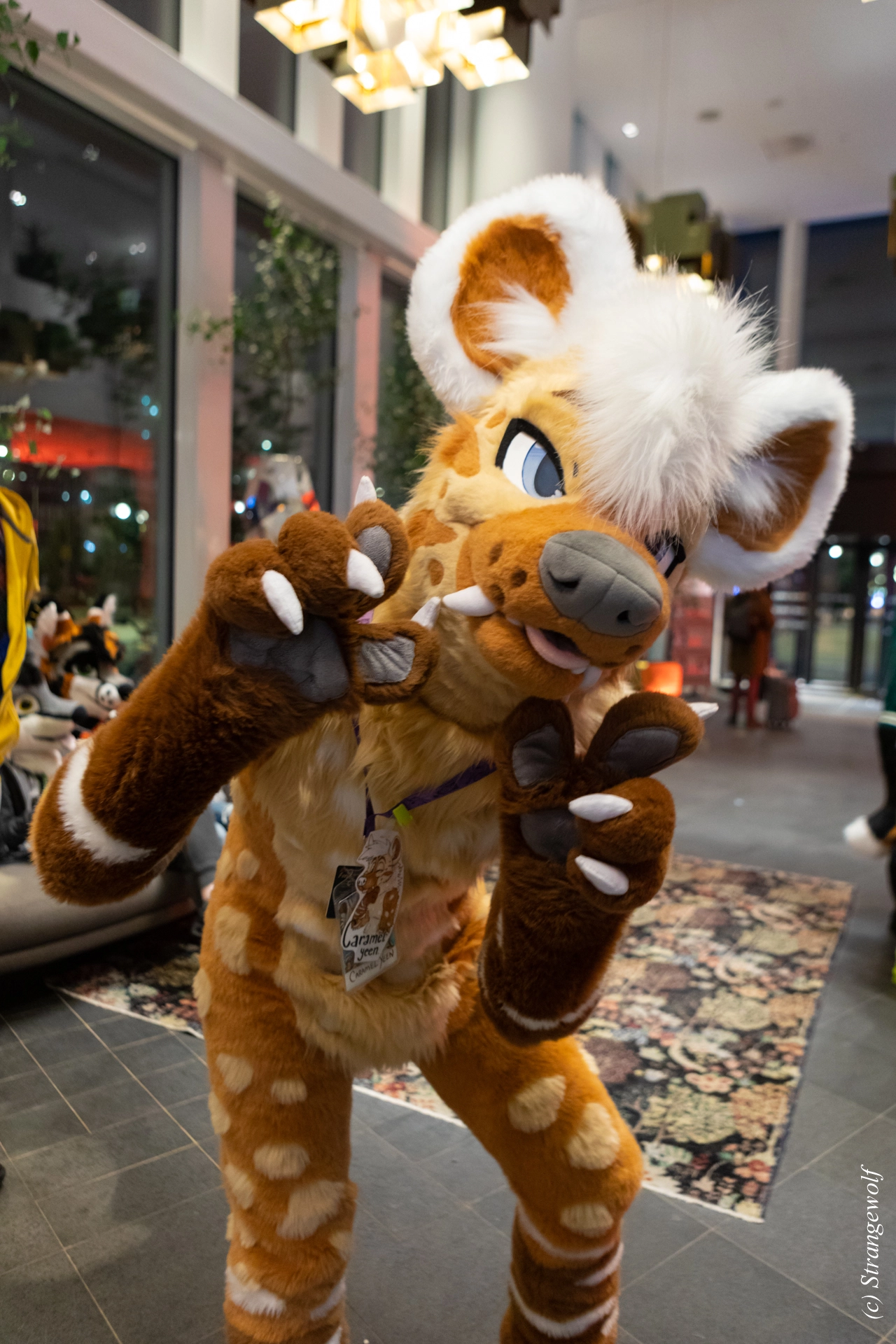 full image 1R3A0090-lr19t.jpg