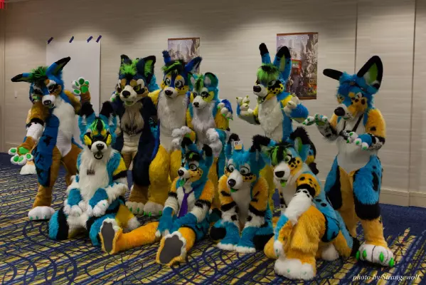 IMG_7808-lr16t.jpg of FWA/FWA2015/