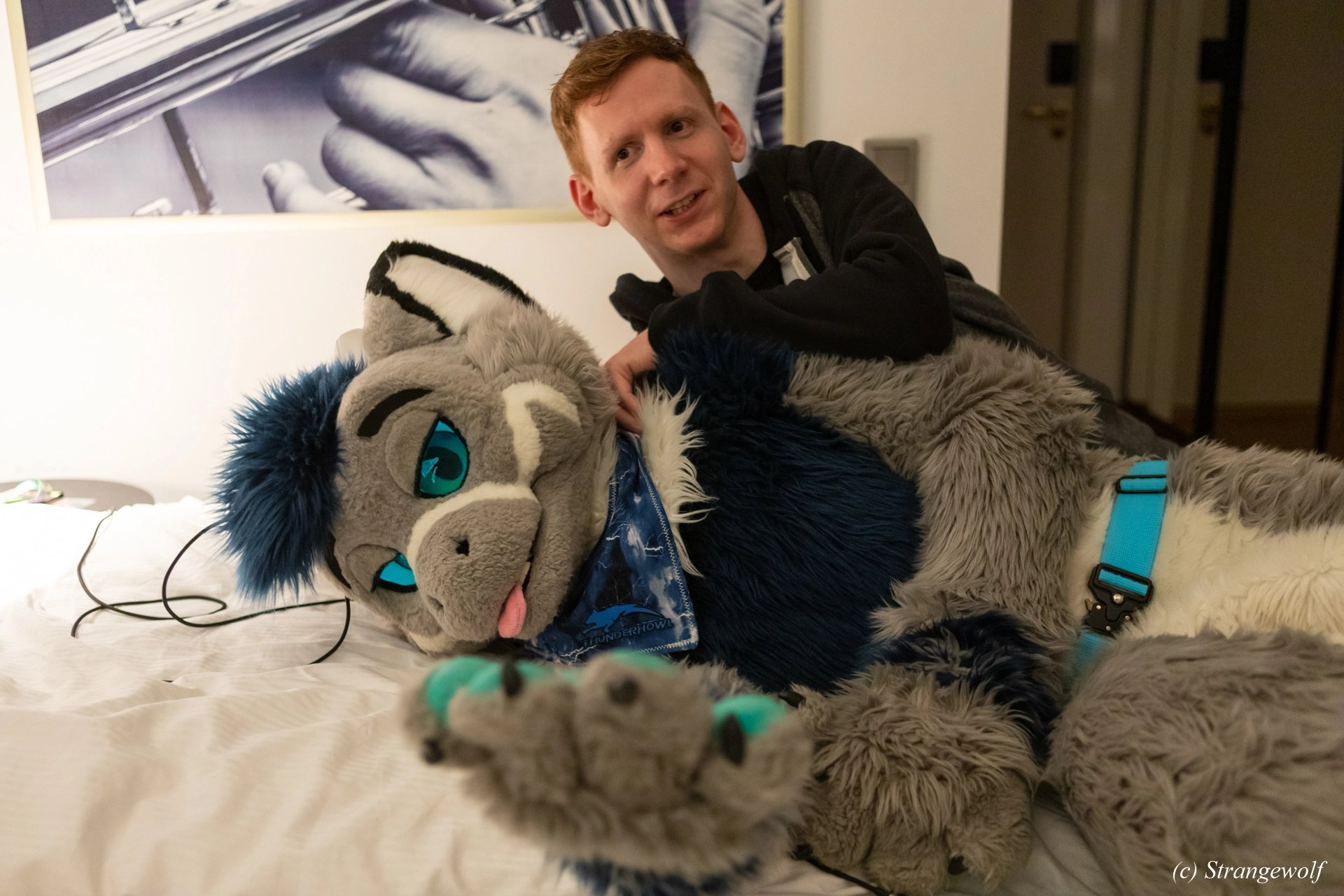 full image 1R3A9467-lr19t.jpg