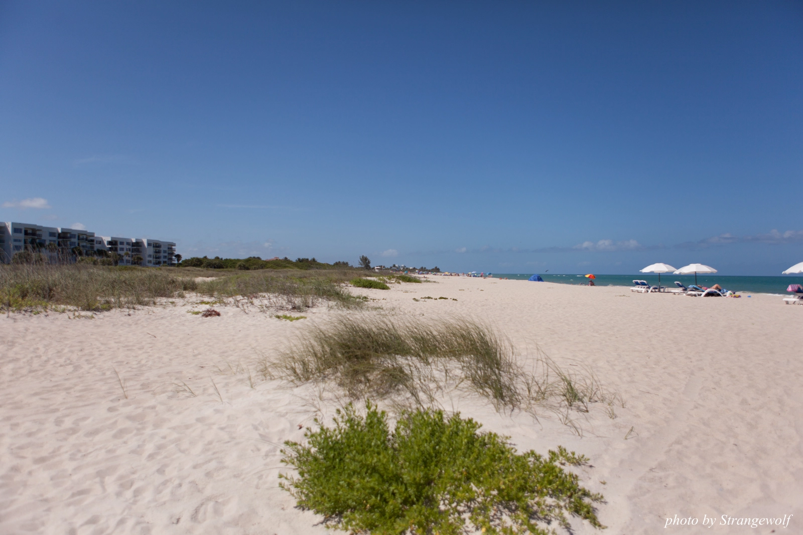 full image IMG_7346-lr16t.jpg