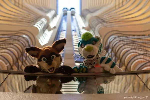 IMG_2906-lr16t.jpg of FWA/FWA2017/