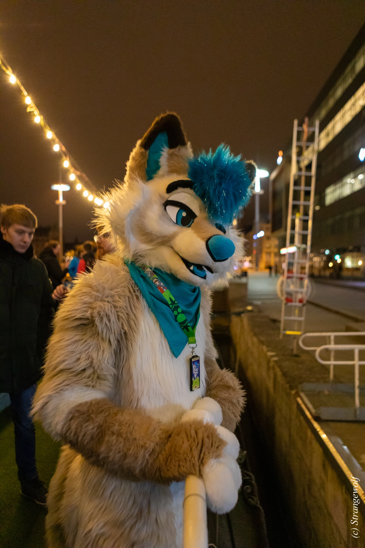 full image 1R3A9231-lr19t.jpg