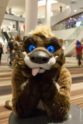 IMG_1578-lr19t.jpg of FWA/FWA2019/