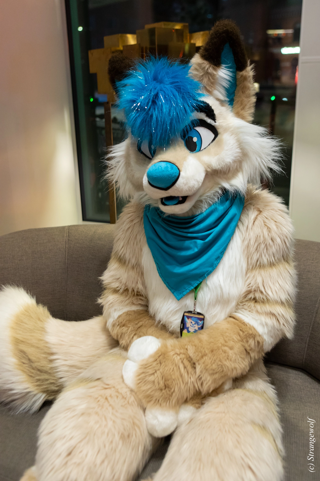 full image 1R3A0116-lr19t.jpg