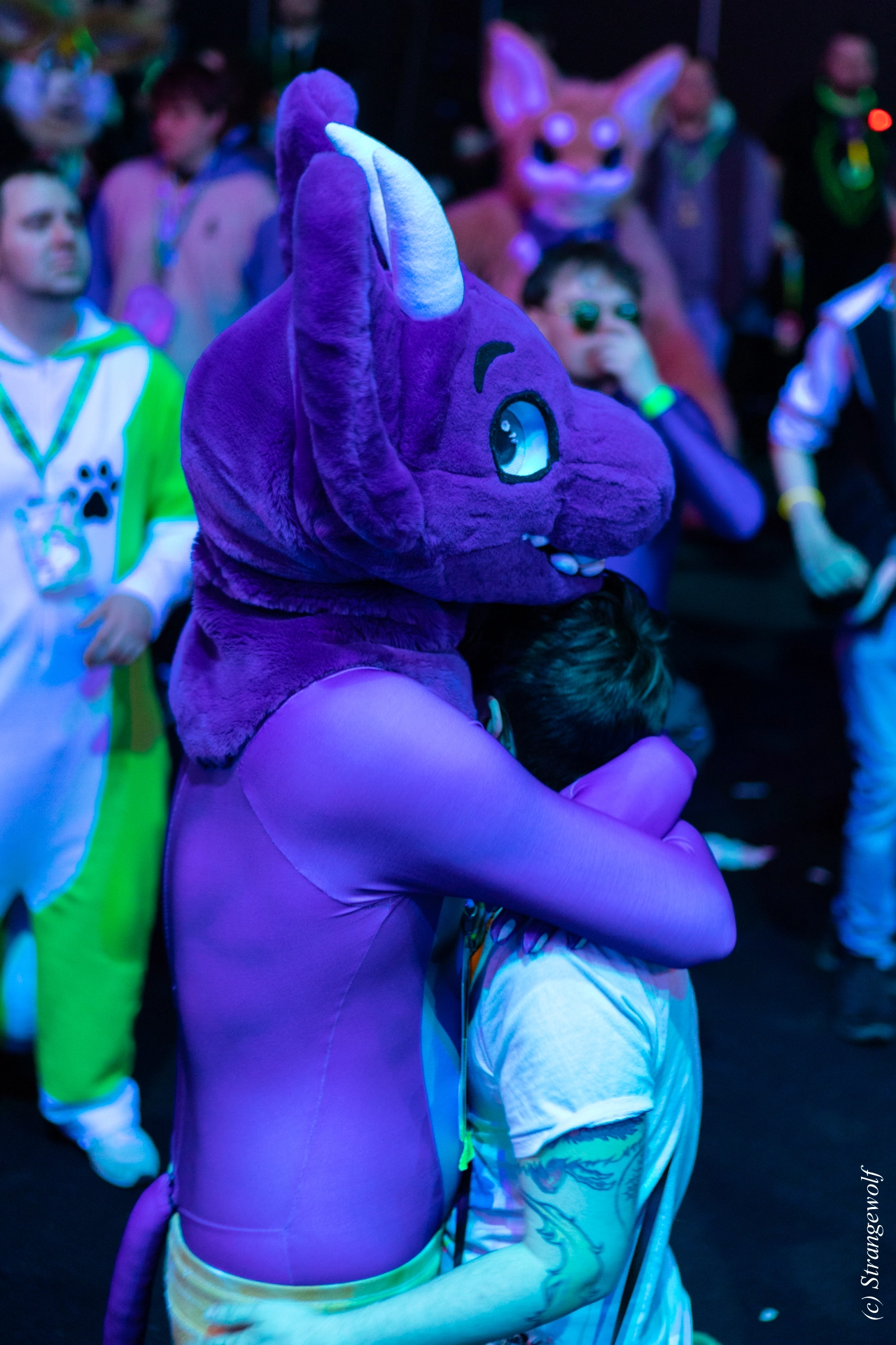 full image 1R3A9696-lr19t.jpg