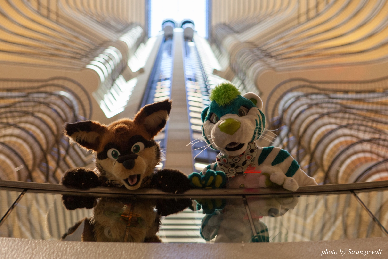 full image IMG_2906-lr16t.jpg