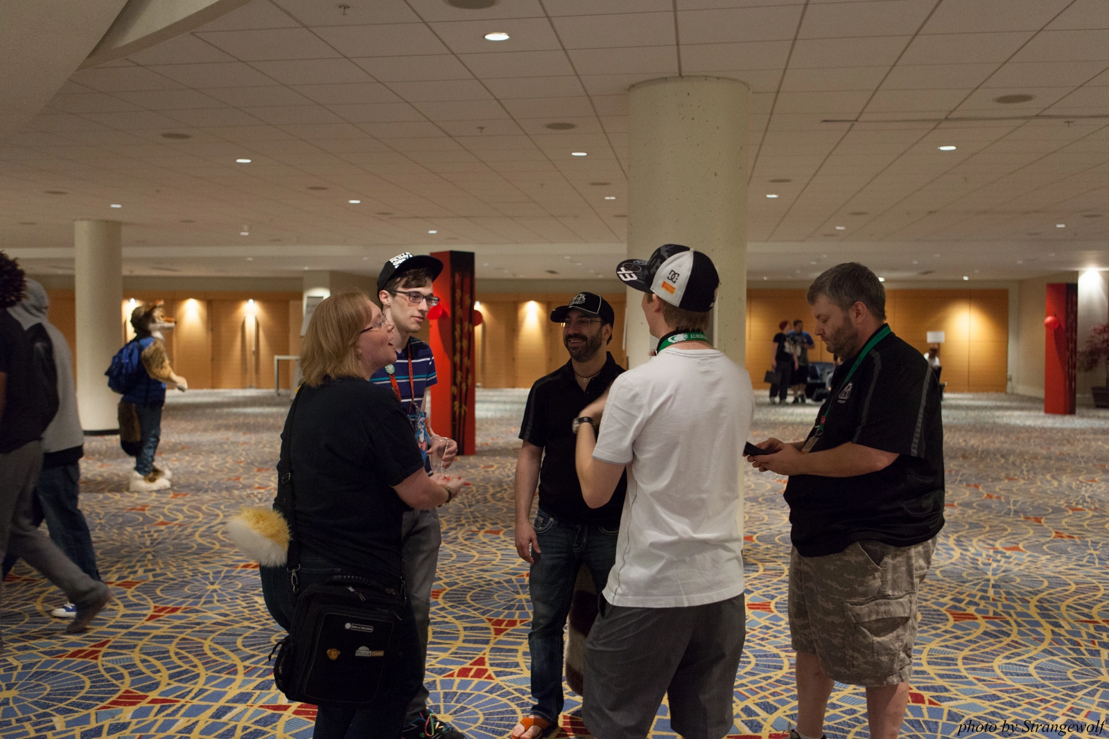 full image IMG_7782-lr16t.jpg