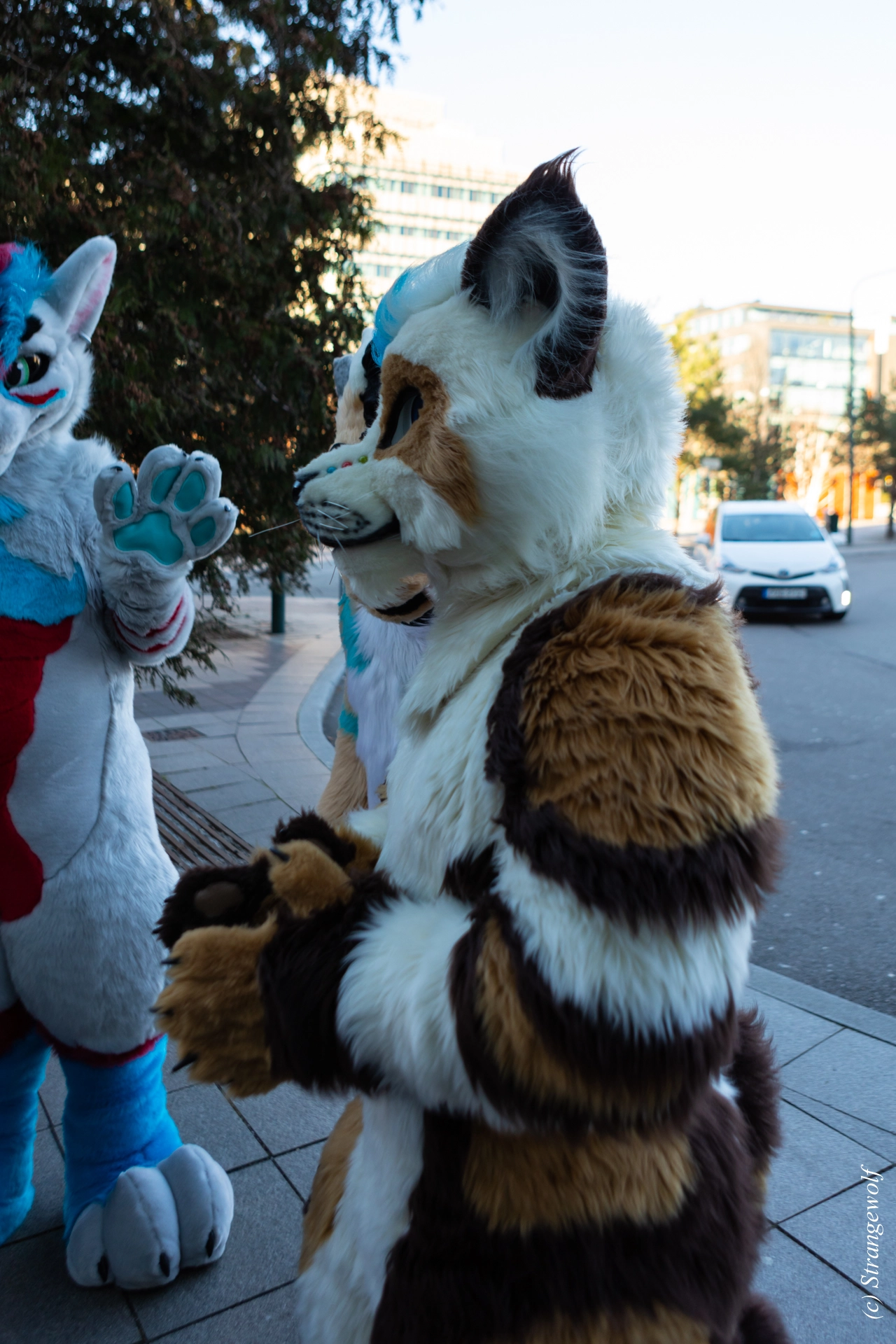 full image 1R3A9818-lr19t.jpg