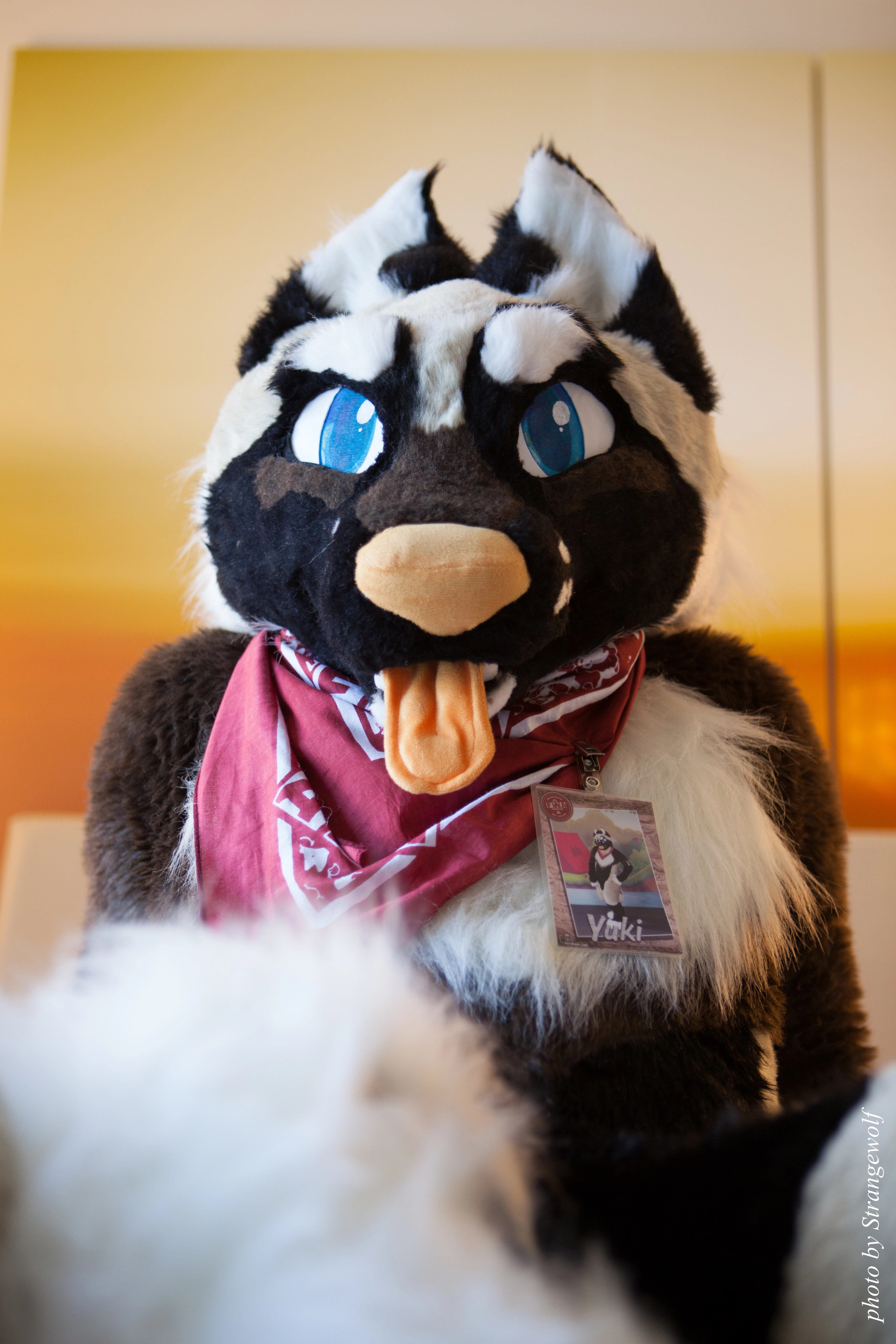 full image IMG_6096-lr.jpg