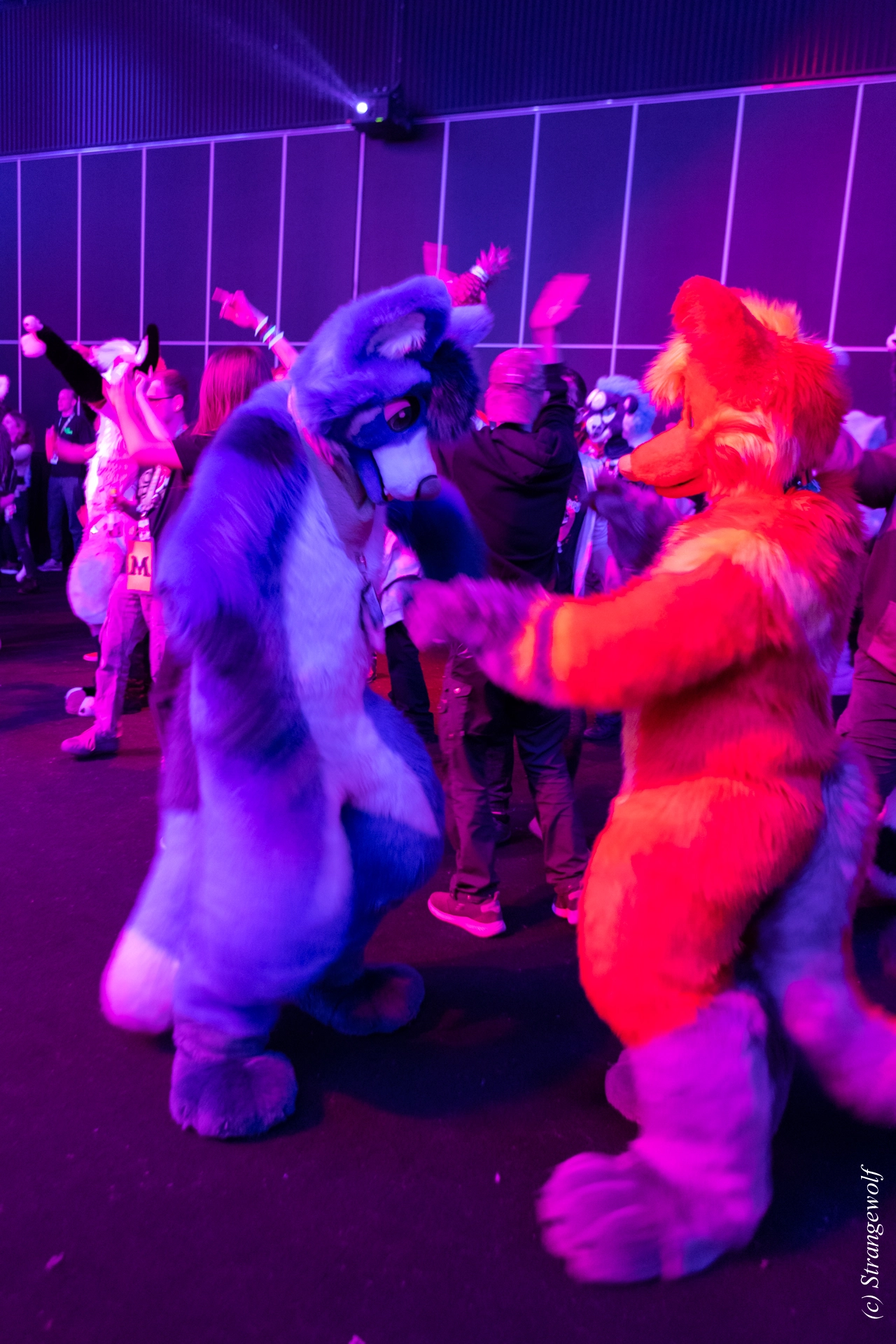 full image 1R3A9757-lr19t.jpg