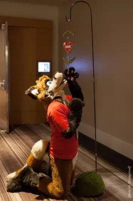 IMG_2719-lr16t.jpg of FWA/FWA2017/