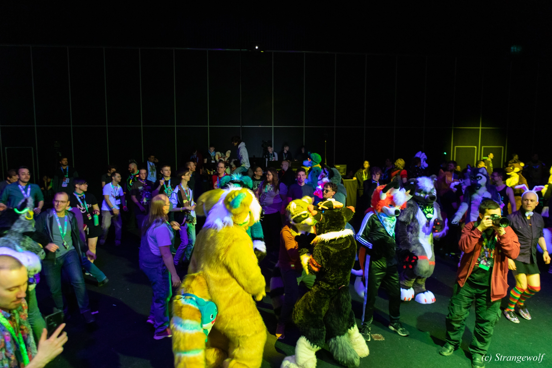 full image 1R3A9570-lr19t.jpg